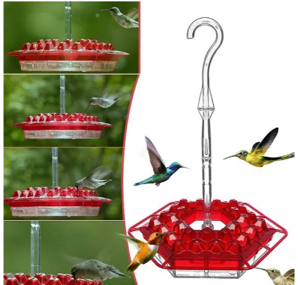 Ant Proof Hummingbird Feeder Outdoor Hanging Perch | Filindra