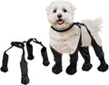 Botas ajustáveis para cães | Filindra