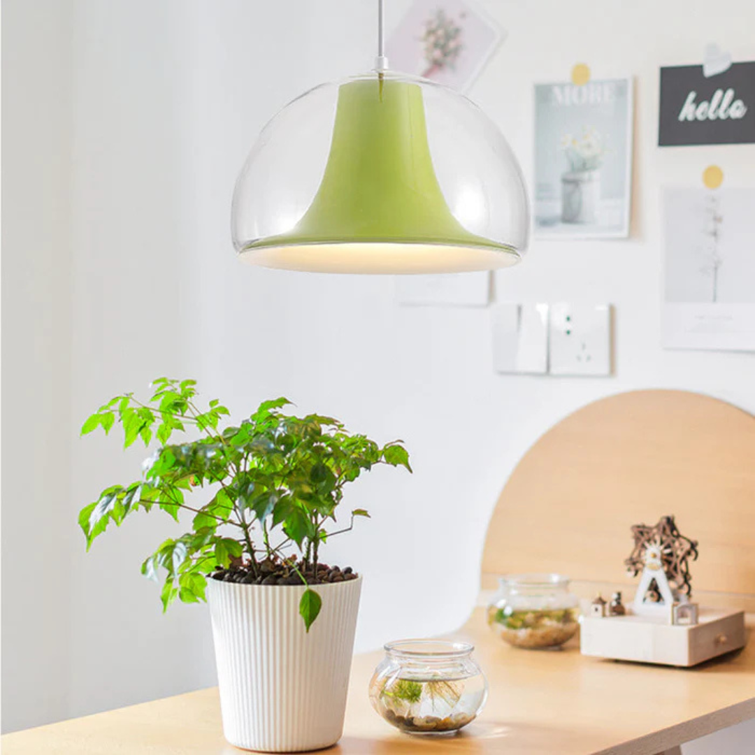 Aurelia Curved Pendant Light For Dining Rooms With Glass Accent