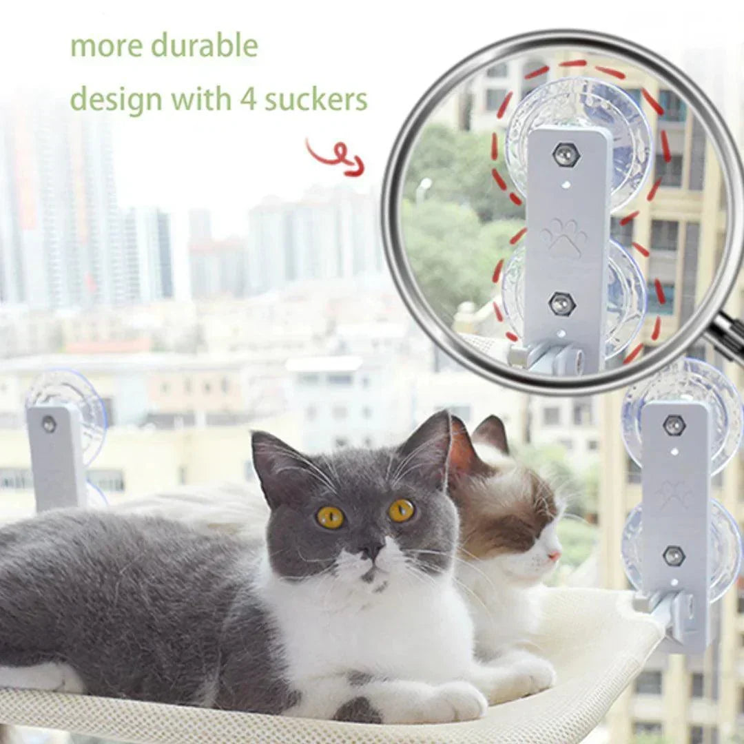 Rede confortável para gatos — cama-prateleira para banhos de sol a 360°