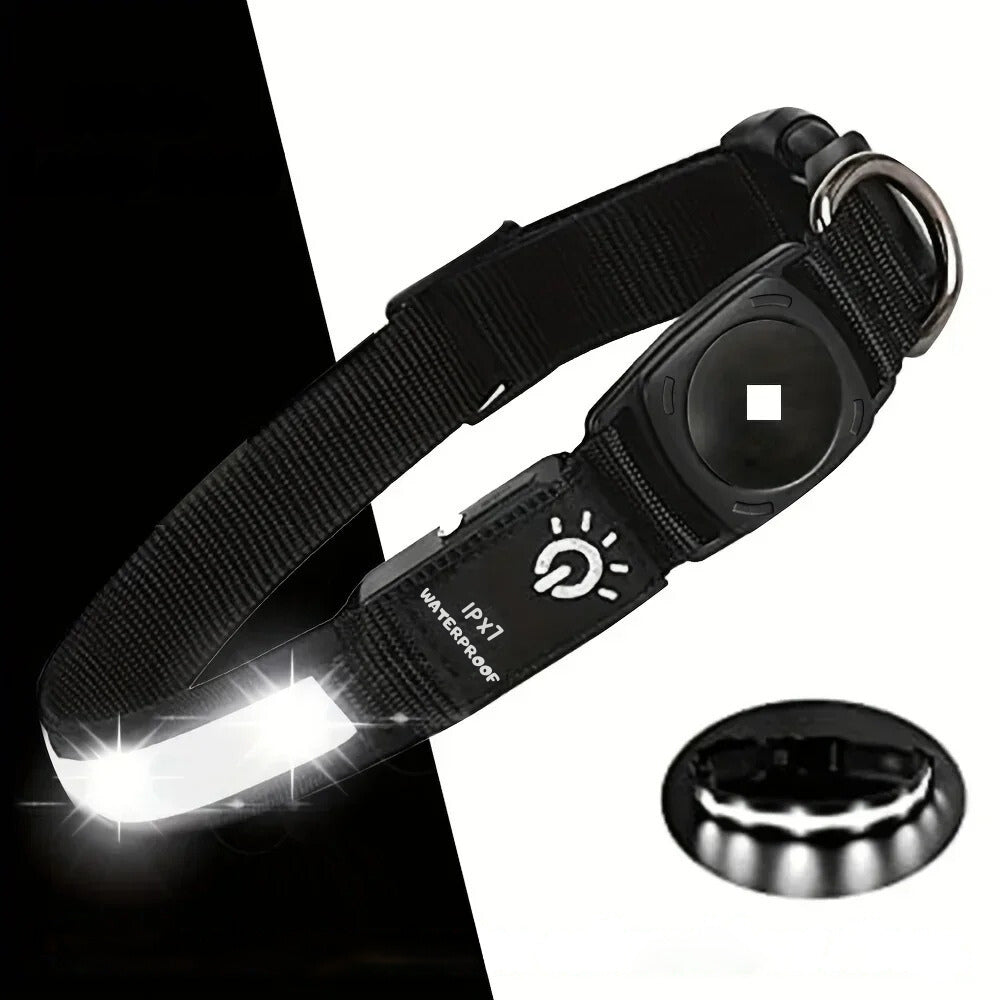 Collier pour chien LumaPaw à LED, étanche, avec logement pour traceur