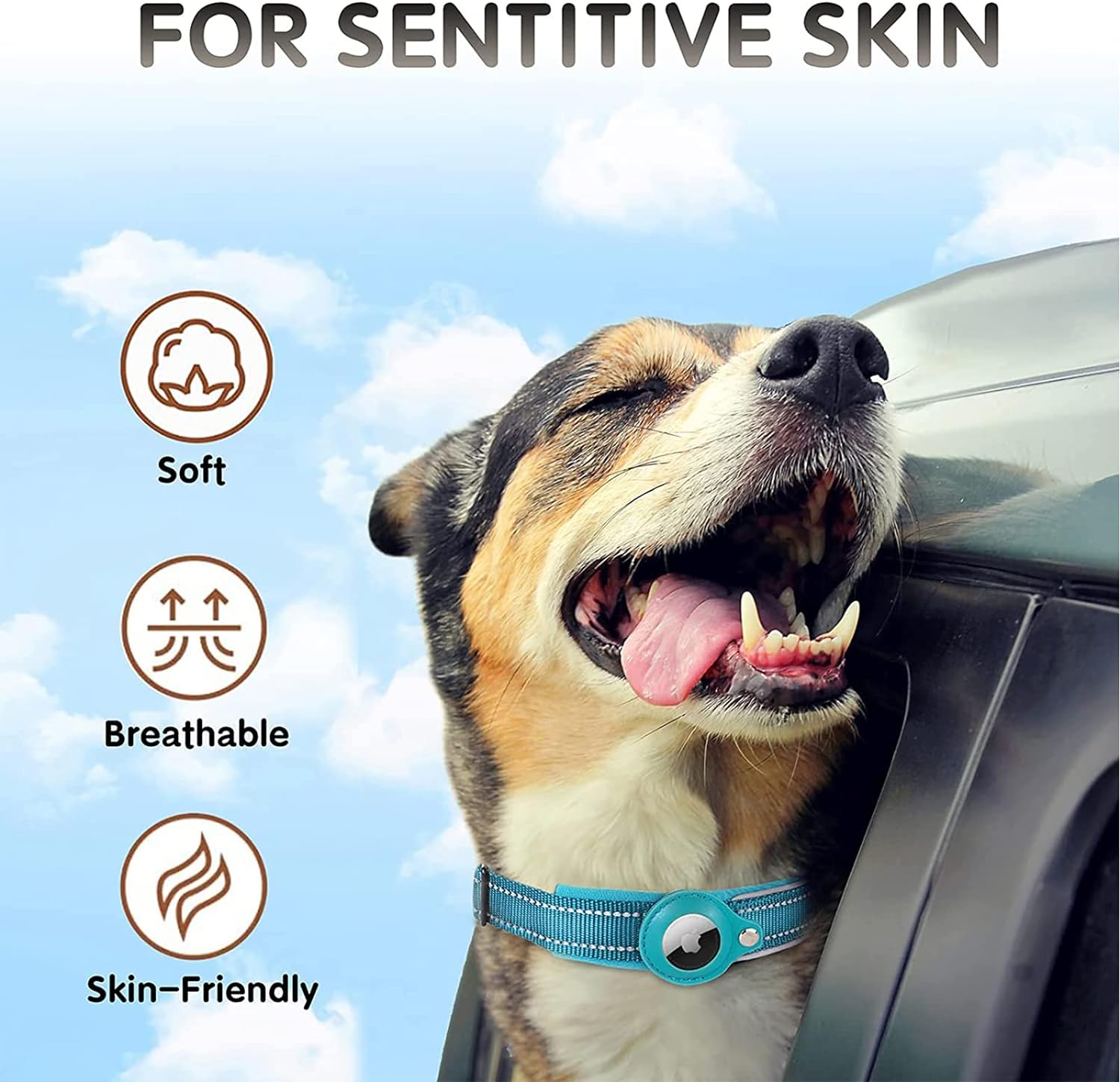 AirTag Dog Collar | Filindra