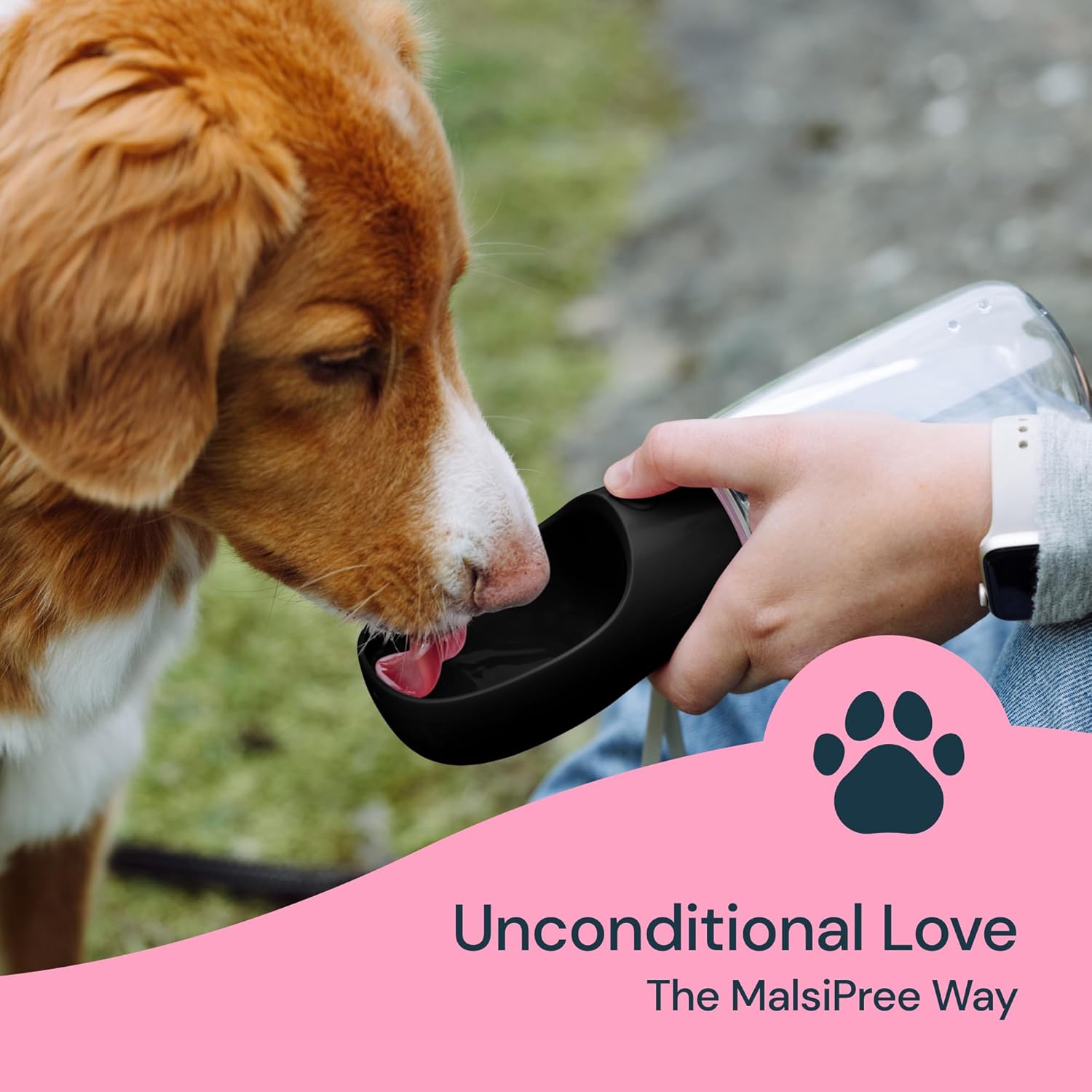 19 oz portable water bottle for dogs | Filindra