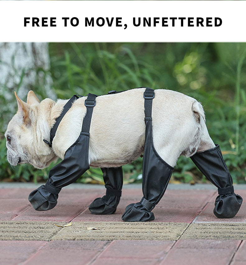 Botas ajustáveis para cães | Filindra