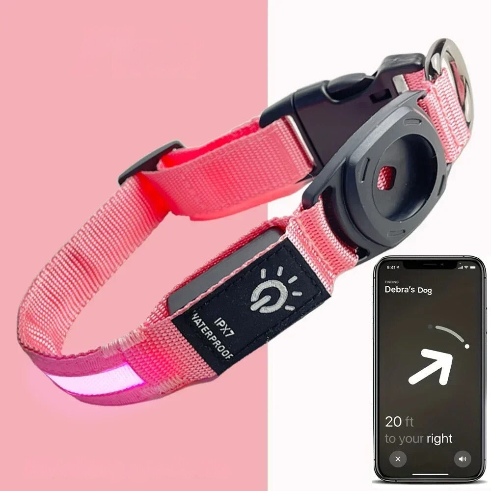 Collier pour chien LumaPaw à LED, étanche, avec logement pour traceur