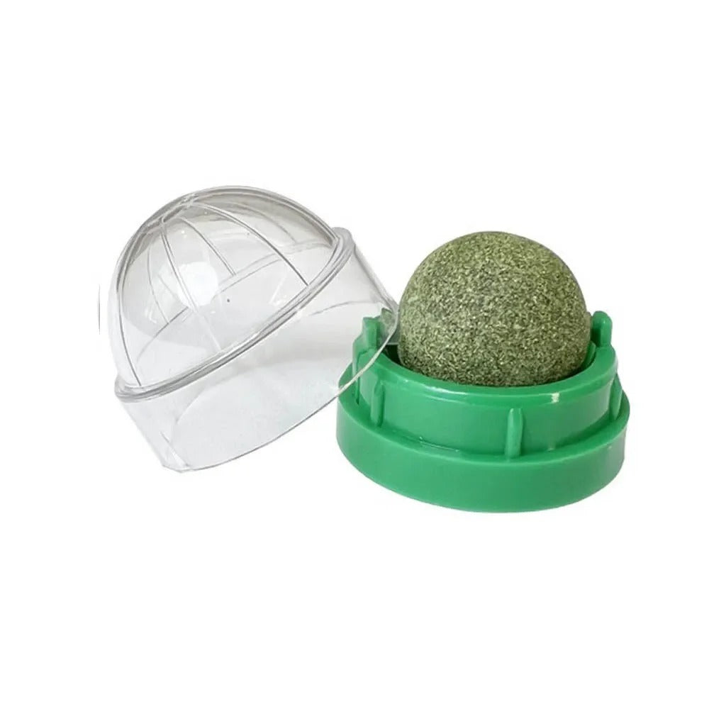 4 Pcs Premium Catnip Ball | Filindra