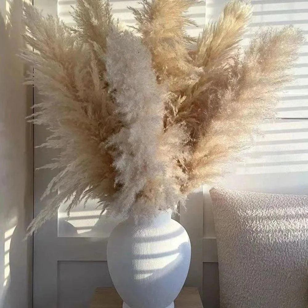 باقة من عشب البامباس الطبيعي المجفف بطول 80 cm — كثيفة وناعمة باللون الأبيض والبيج والرمادي