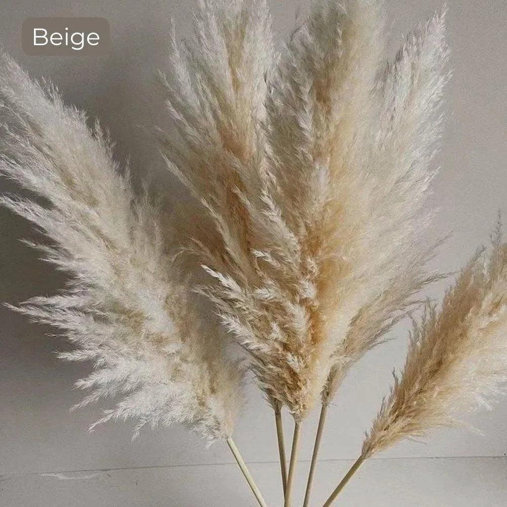 باقة من عشب البامباس الطبيعي المجفف بطول 80 cm — كثيفة وناعمة باللون الأبيض والبيج والرمادي