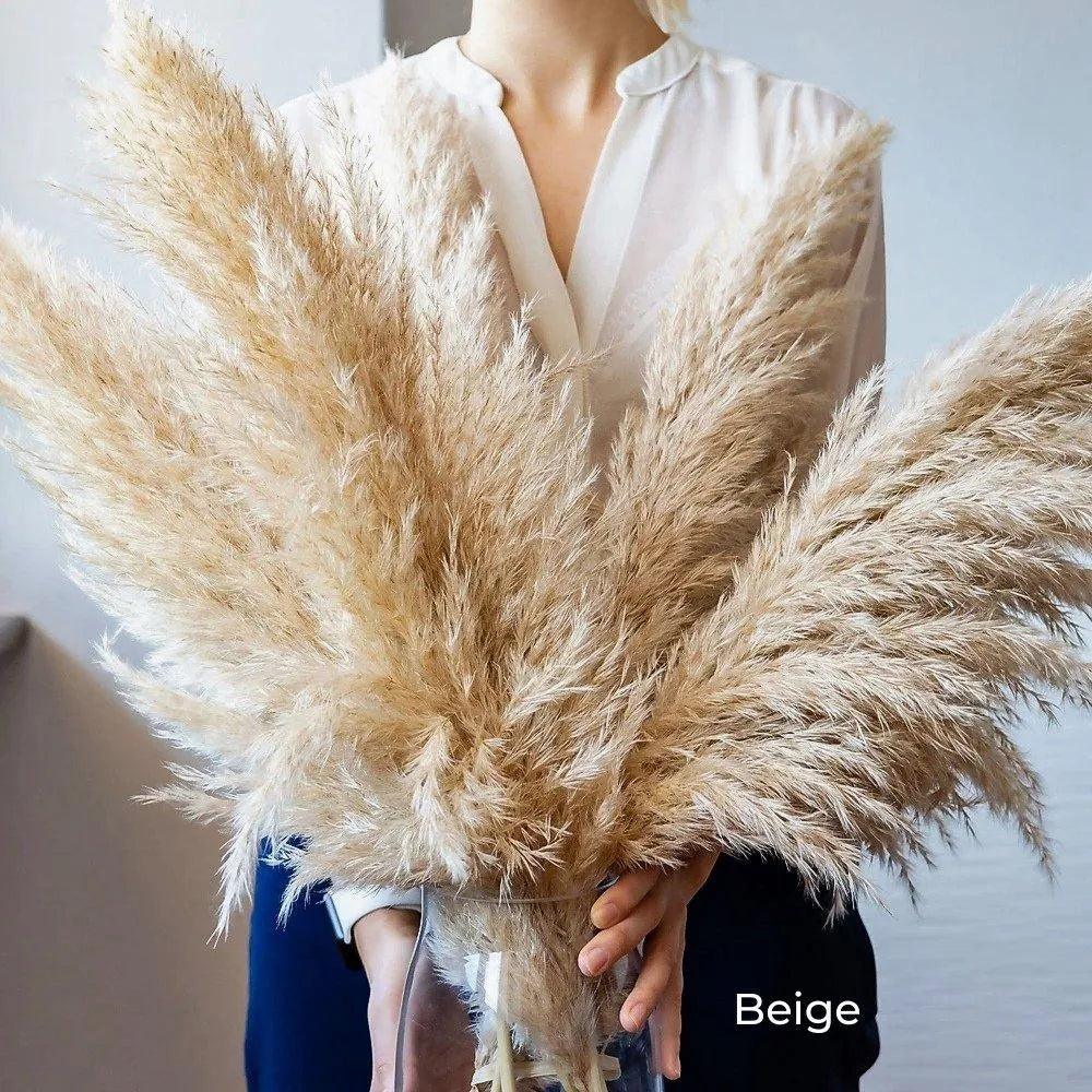 باقة من عشب البامباس الطبيعي المجفف بطول 80 cm — كثيفة وناعمة باللون الأبيض والبيج والرمادي