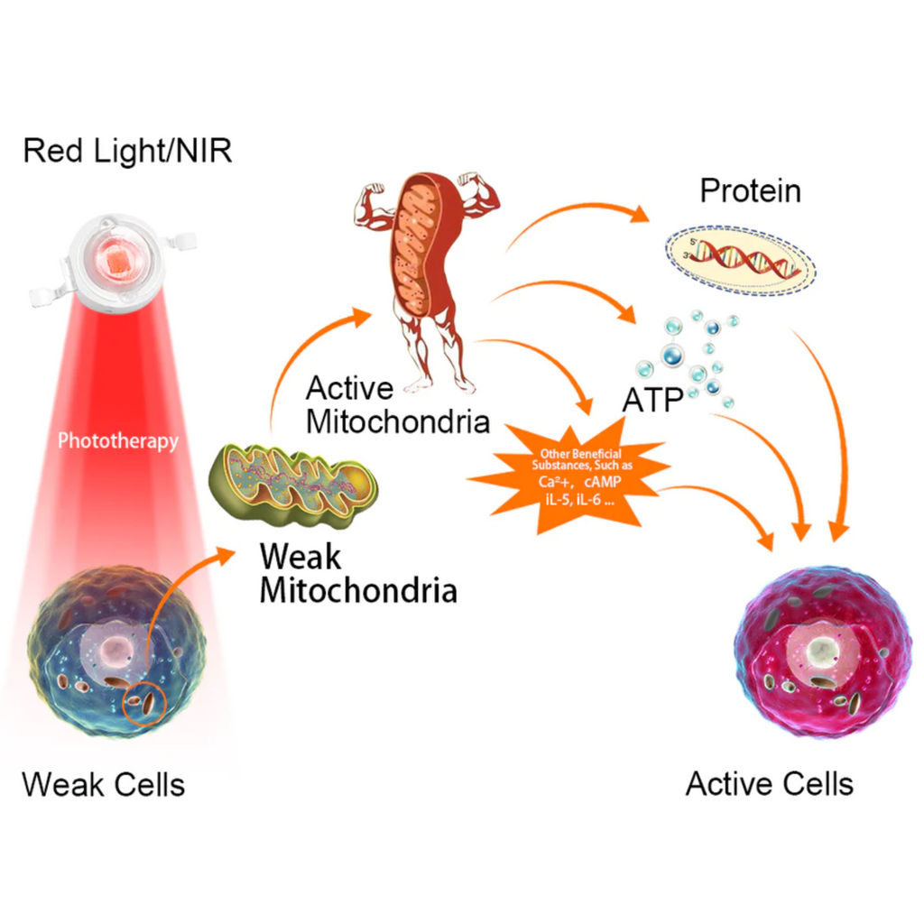 Red Light Therapy Arthritis Glove — Targeted Wavelength LEDs