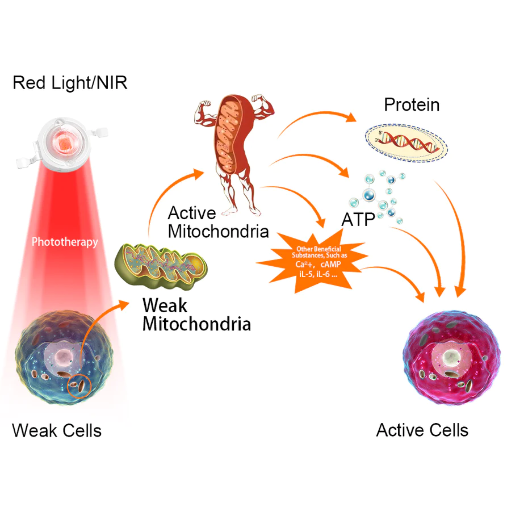 Red Light Therapy Arthritis Glove — Targeted Wavelength LEDs