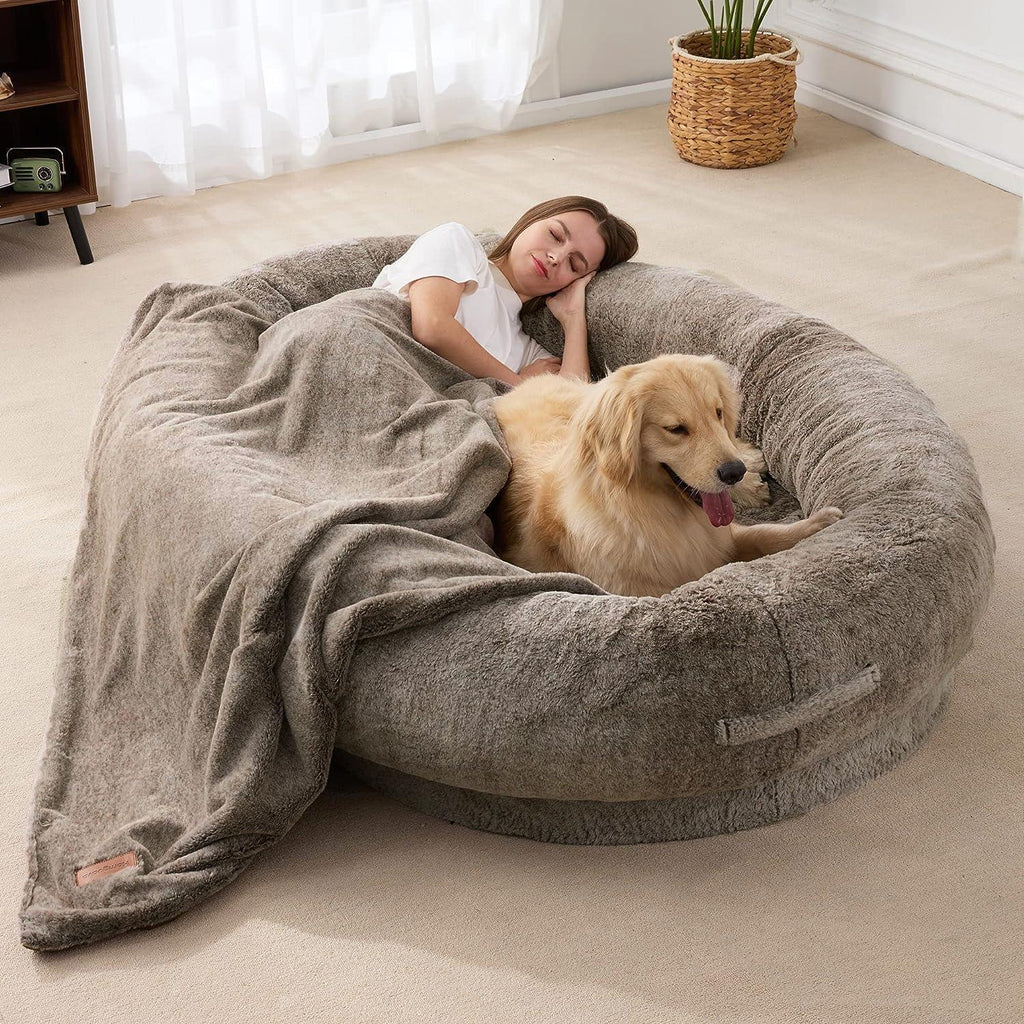 Lit ultra-confortable pour humains et chiens — Méridienne partagée surdimensionnée