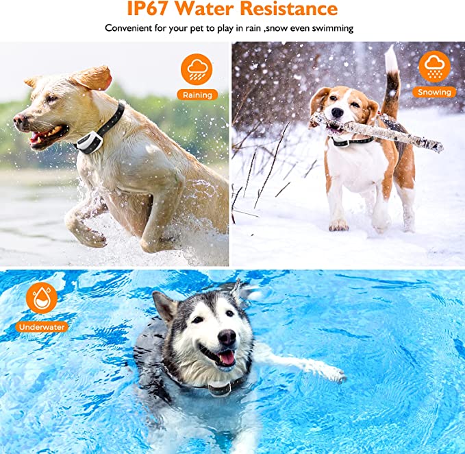 Wireless Dog Fence With Collar | Filindra