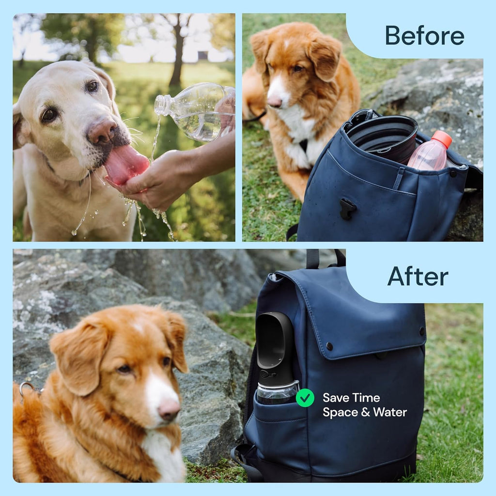 19 oz portable water bottle for dogs | Filindra