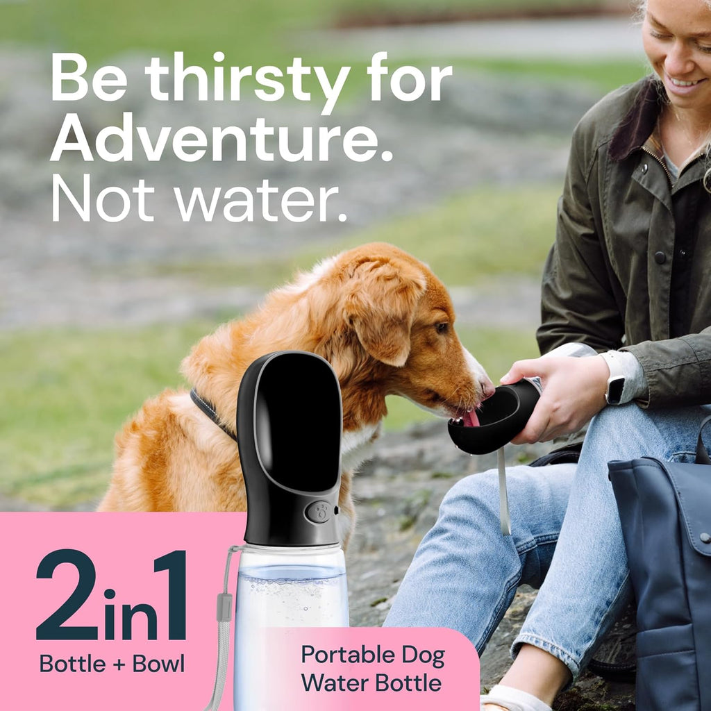 19 oz portable water bottle for dogs | Filindra