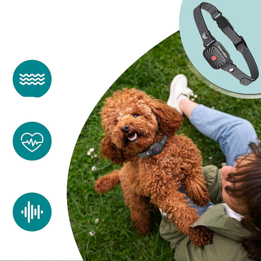 HushTail Dog Bark Control Collar — Adjustable Settings, Multi-Size Fit