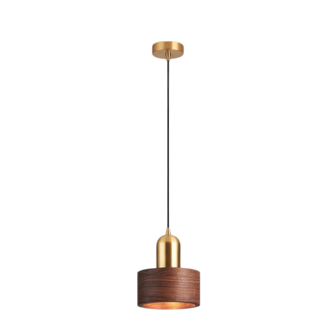 Solara Light Pendant With Gold Accent For Dining Table Elegant