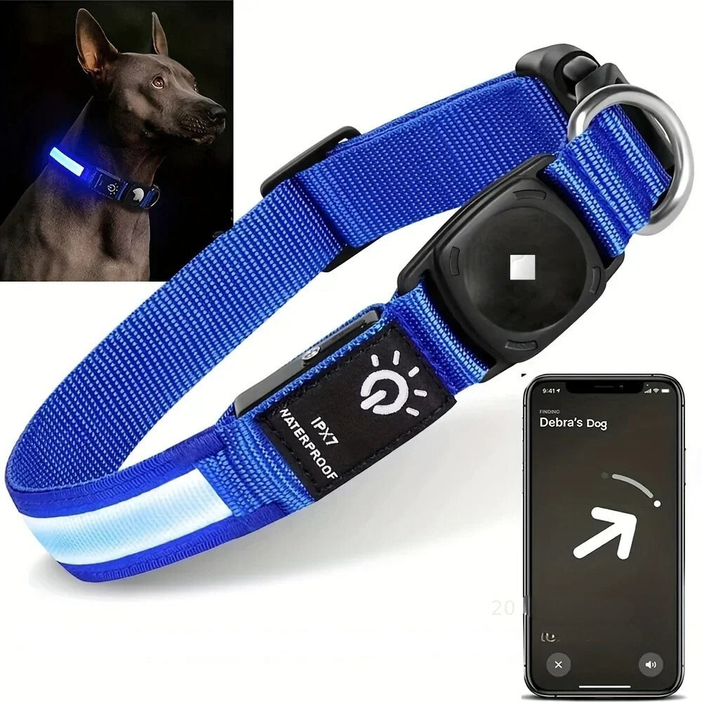 Collier pour chien LumaPaw à LED, étanche, avec logement pour traceur