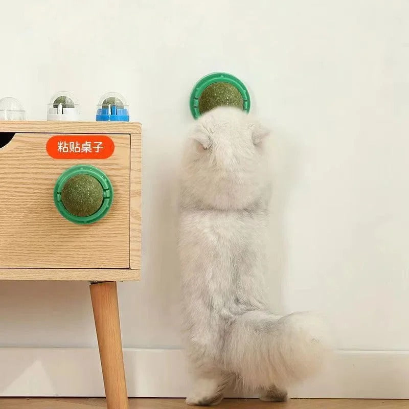 4 Pcs Premium Catnip Ball | Filindra