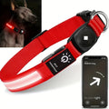 Collier pour chien LumaPaw à LED, étanche, avec logement pour traceur