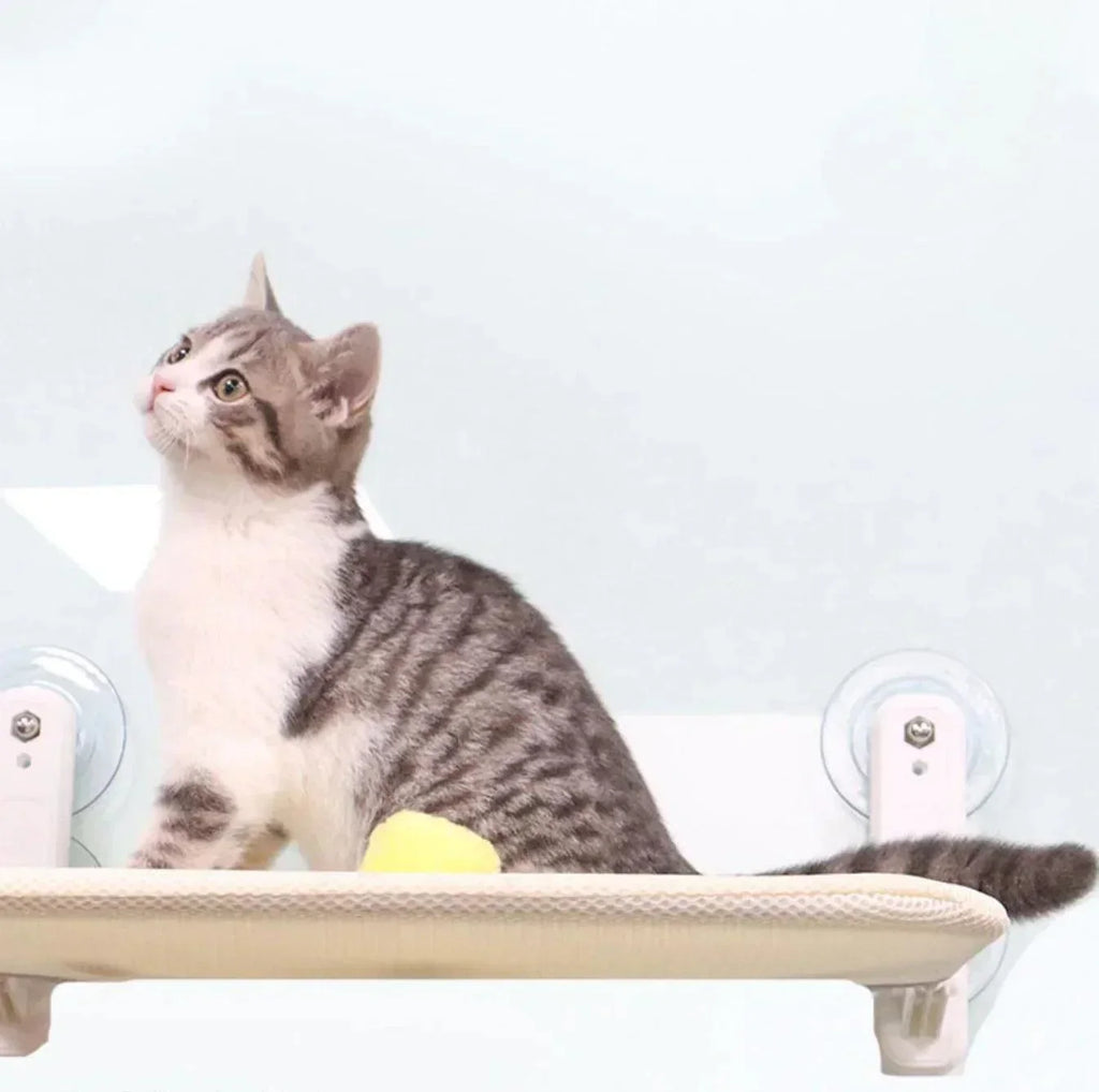 Rede confortável para gatos — cama-prateleira para banhos de sol a 360°