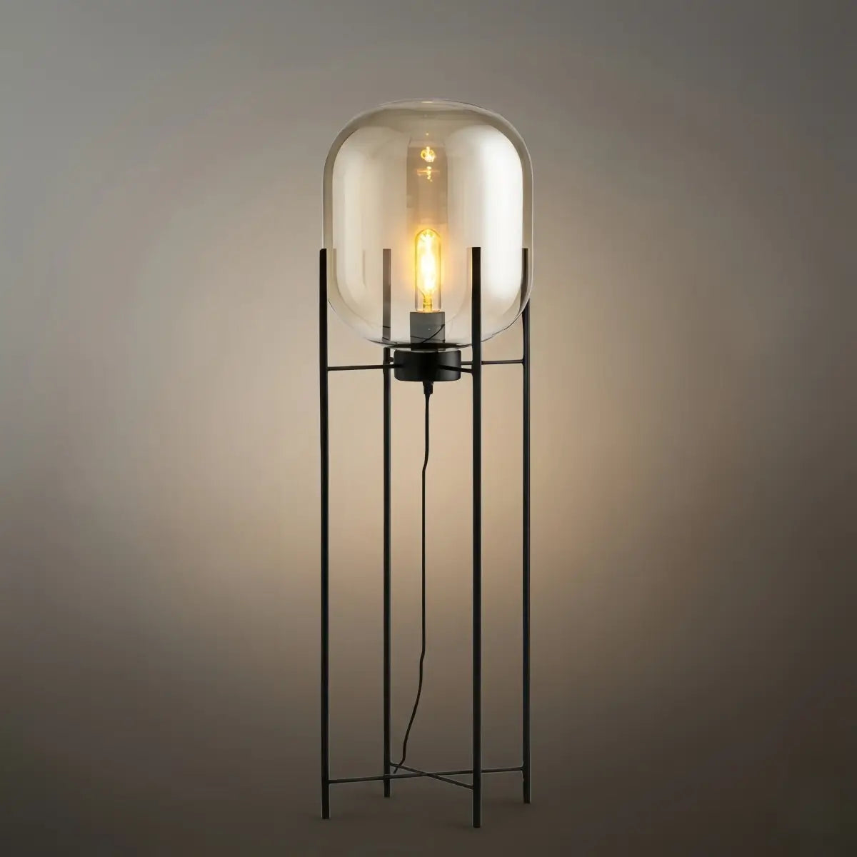 Designer Floor Lamp – Clear Glass & Metal Elliptical Design for Living Room - Flindria