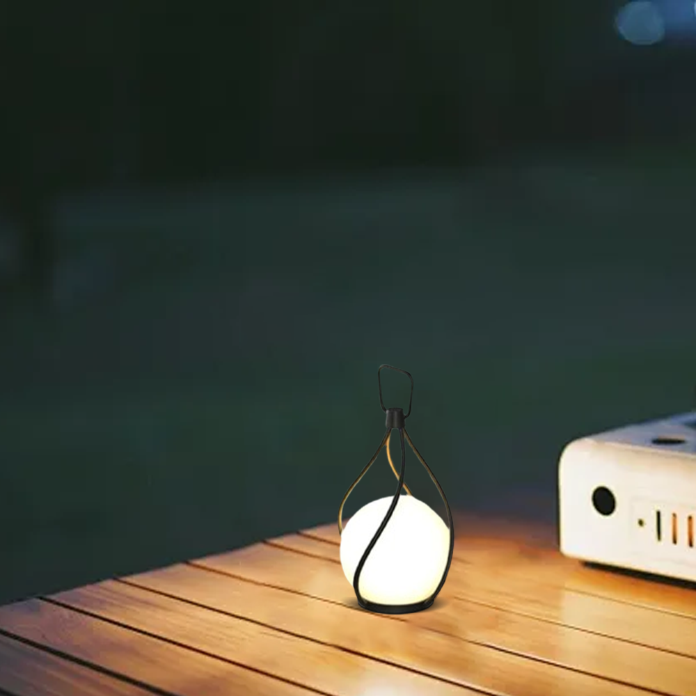 Designer Globular Pathway Light - Milky Black Metal/Acrylic for Garden - Flindria