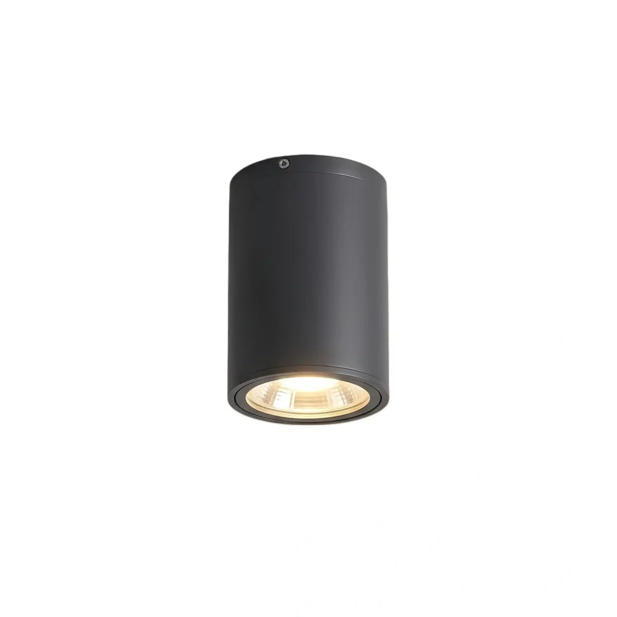 Modern Outdoor Ceiling Light - Black Metal/Glass Cylindrical for Garden - Flindria