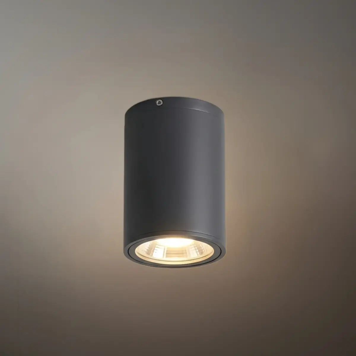 Modern Outdoor Ceiling Light - Black Metal/Glass Cylindrical for Garden - Flindria