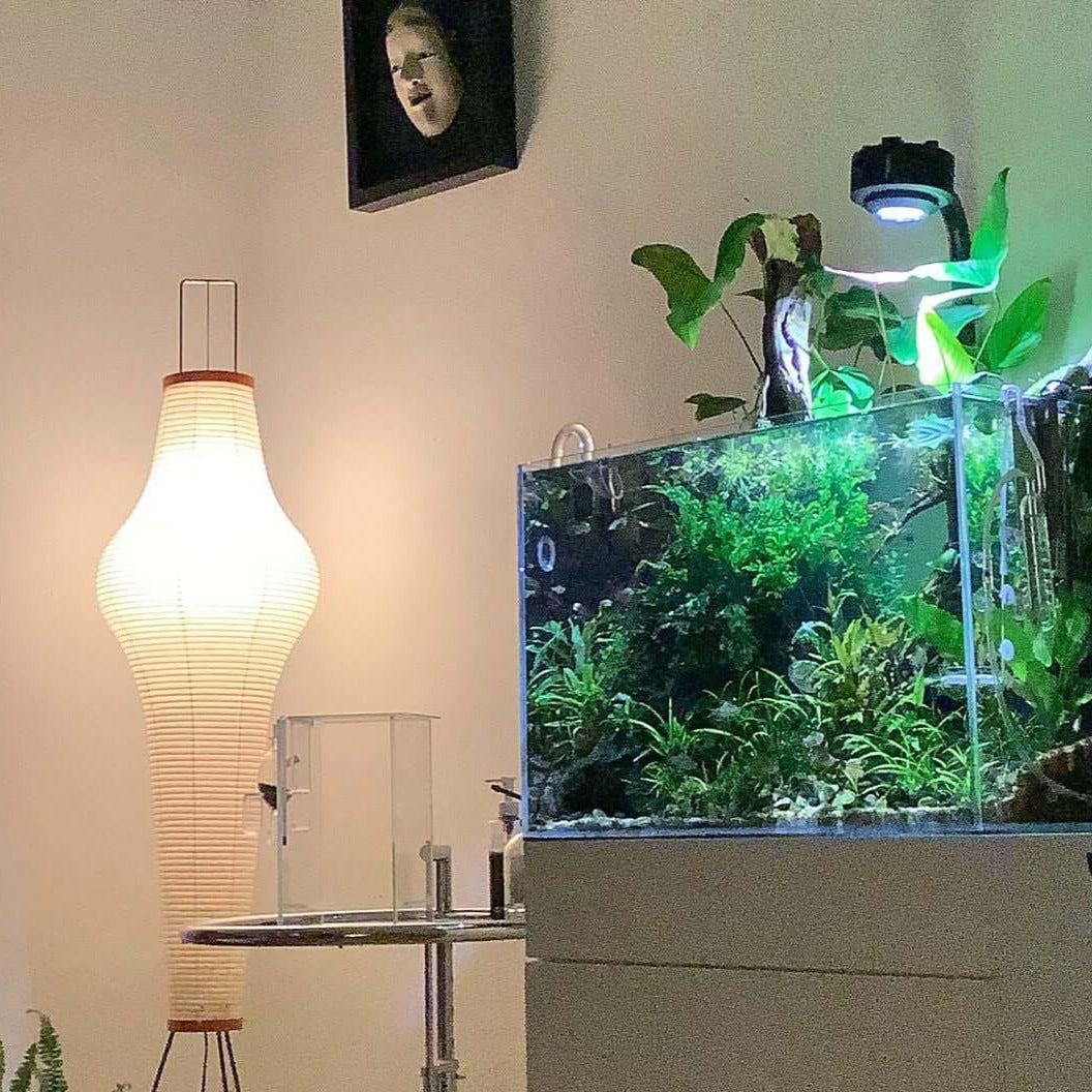 Hikaru – golvlampa i rispapper - japanskinspirerat stämningsljus