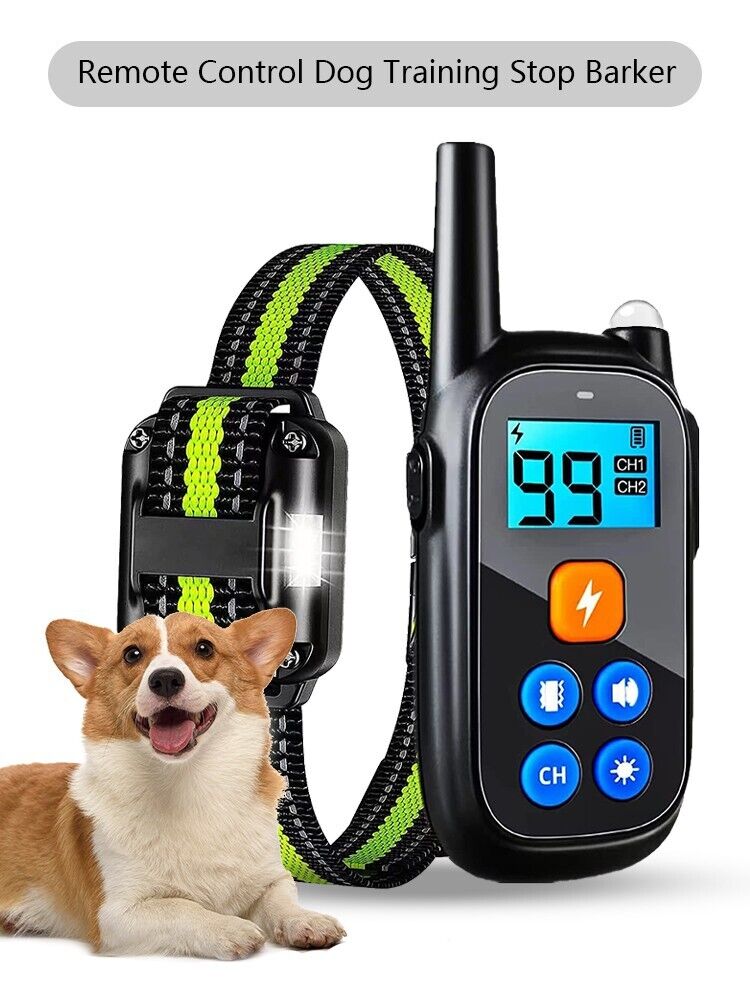 Elektrisches Anti-Bell-Fernhalsband mit Stromimpuls für Hundetraining