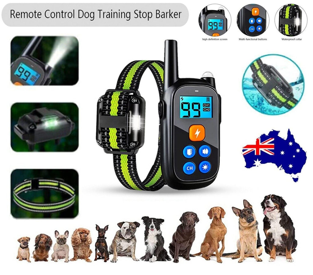 Elektrisches Anti-Bell-Fernhalsband mit Stromimpuls für Hundetraining