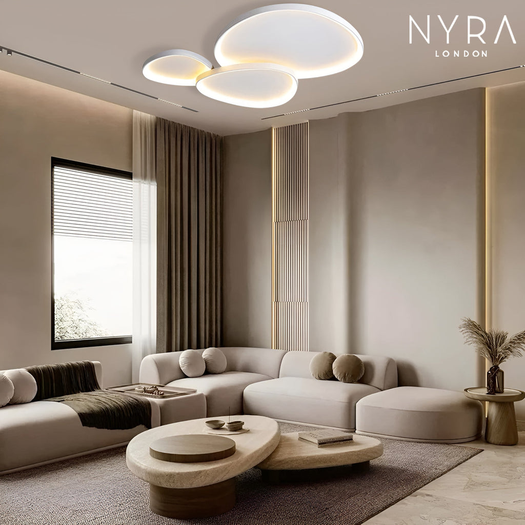 LyraSage Lamps Dual Color Warm And Cool Lighting For Any Space