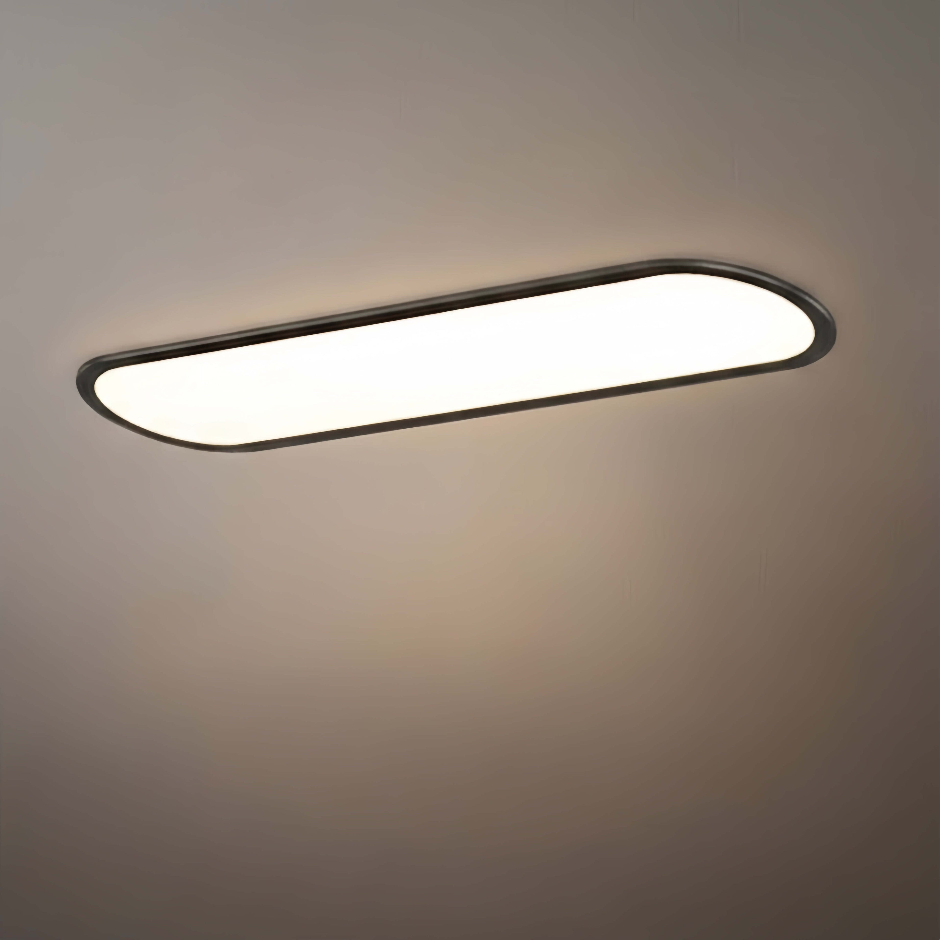 Minimalist White/Black LED Flush Mount Ceiling Light Living Room - Flindria