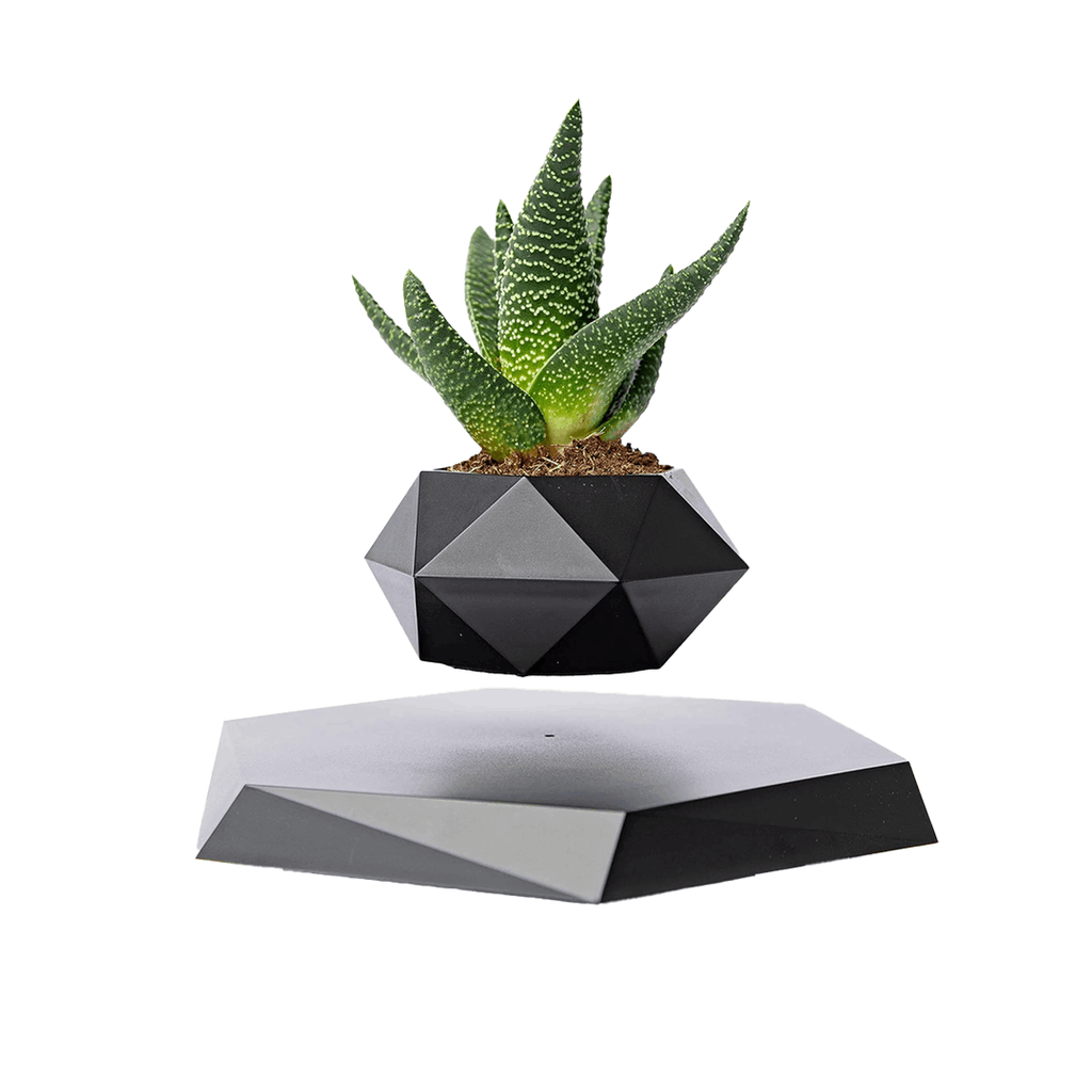 Lewitująca doniczka bonsai — magnetyczna, obracająca się o 360° donica