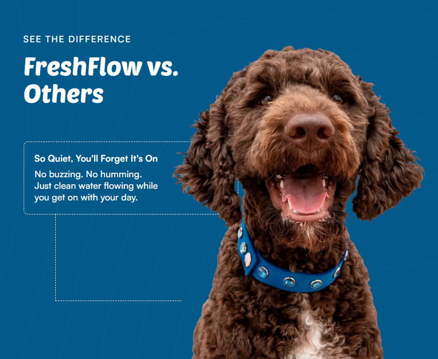 Stainless Steel Canine Hydration Station — Tiered Filtration System