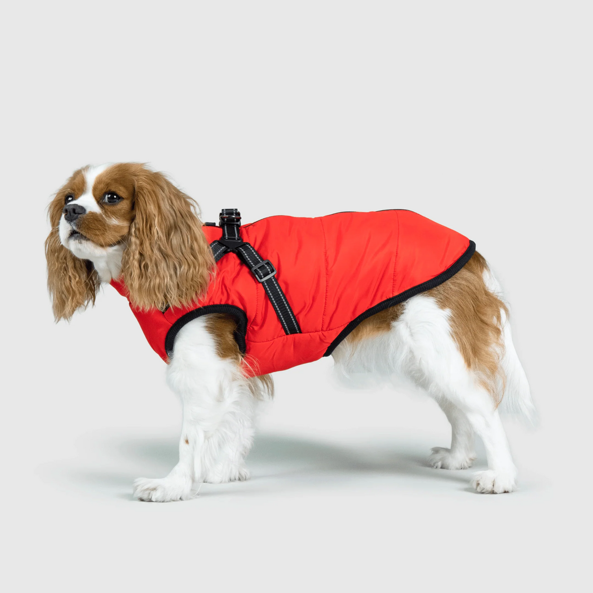 3 in 1 冬用犬用ジャケット — 寒い季節に暖かいコート