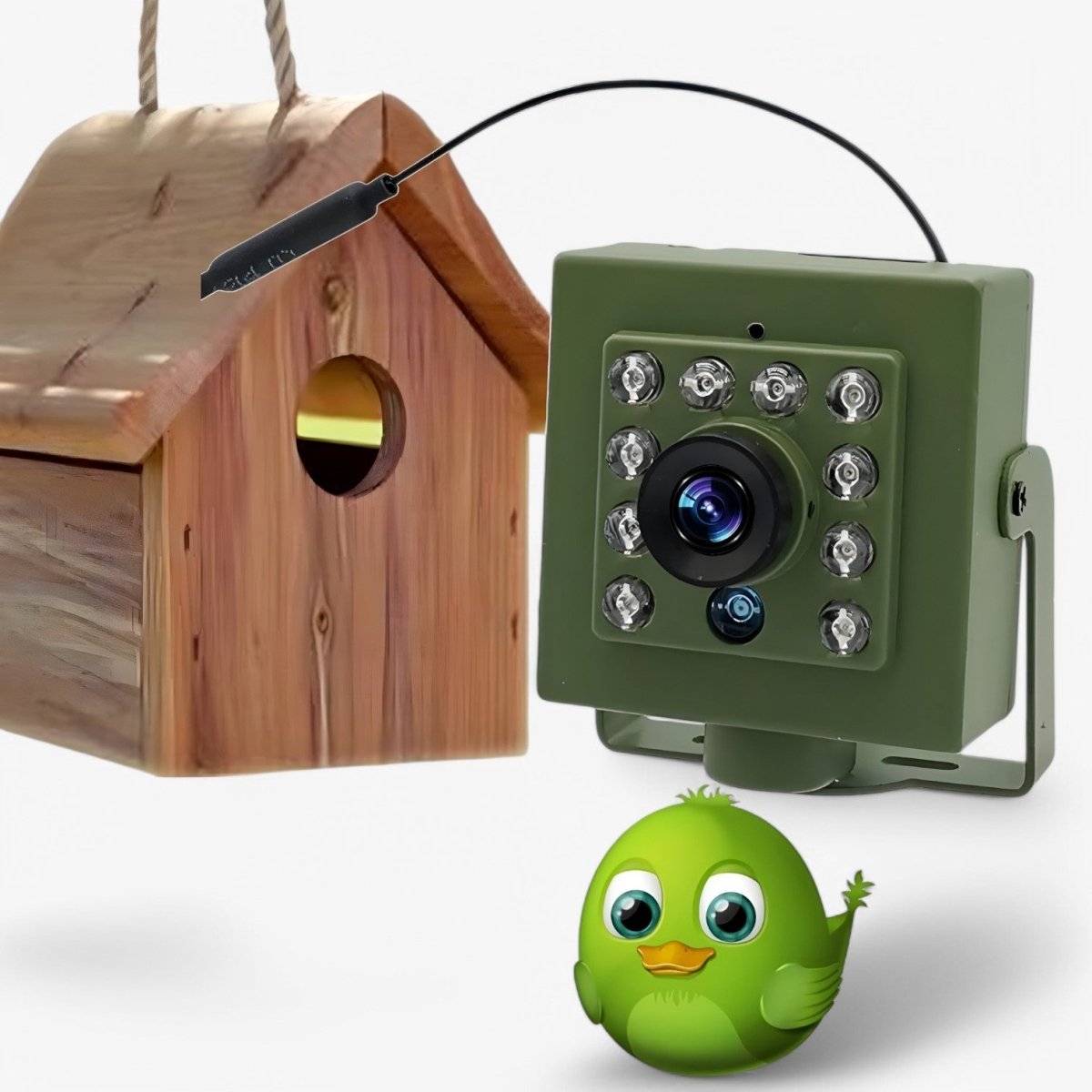 1080p HD weatherproof wildlife camera with night vision, motion detection, and remote access | Filindra