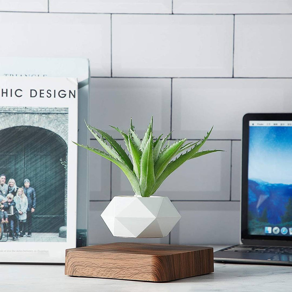 Lewitująca doniczka bonsai — magnetyczna, obracająca się o 360° donica