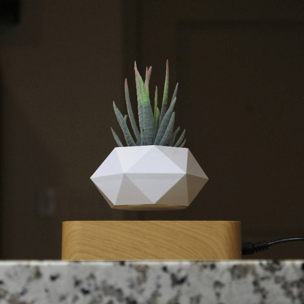 Lewitująca doniczka bonsai — magnetyczna, obracająca się o 360° donica