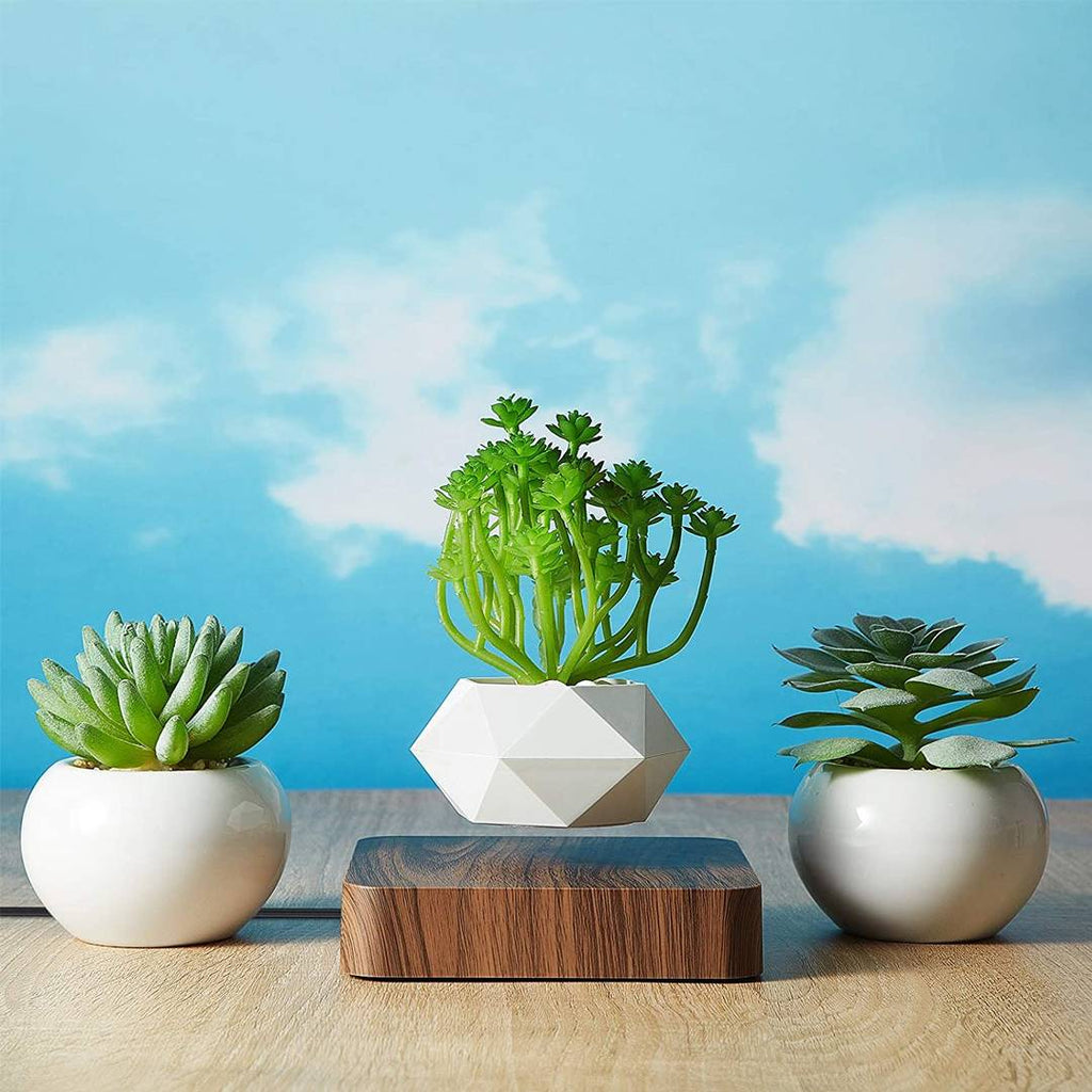 Lewitująca doniczka bonsai — magnetyczna, obracająca się o 360° donica