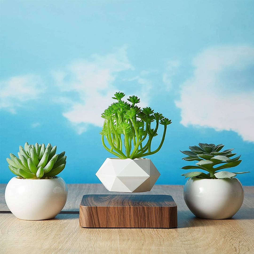 Lewitująca doniczka bonsai — magnetyczna, obracająca się o 360° donica