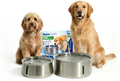 Stainless Steel Canine Hydration Station — Tiered Filtration System