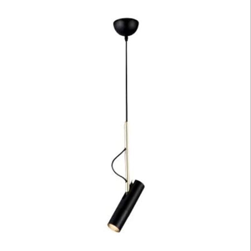 Lumora Artist Spotlight Rotating Pendant Light For Contemporary Interiors