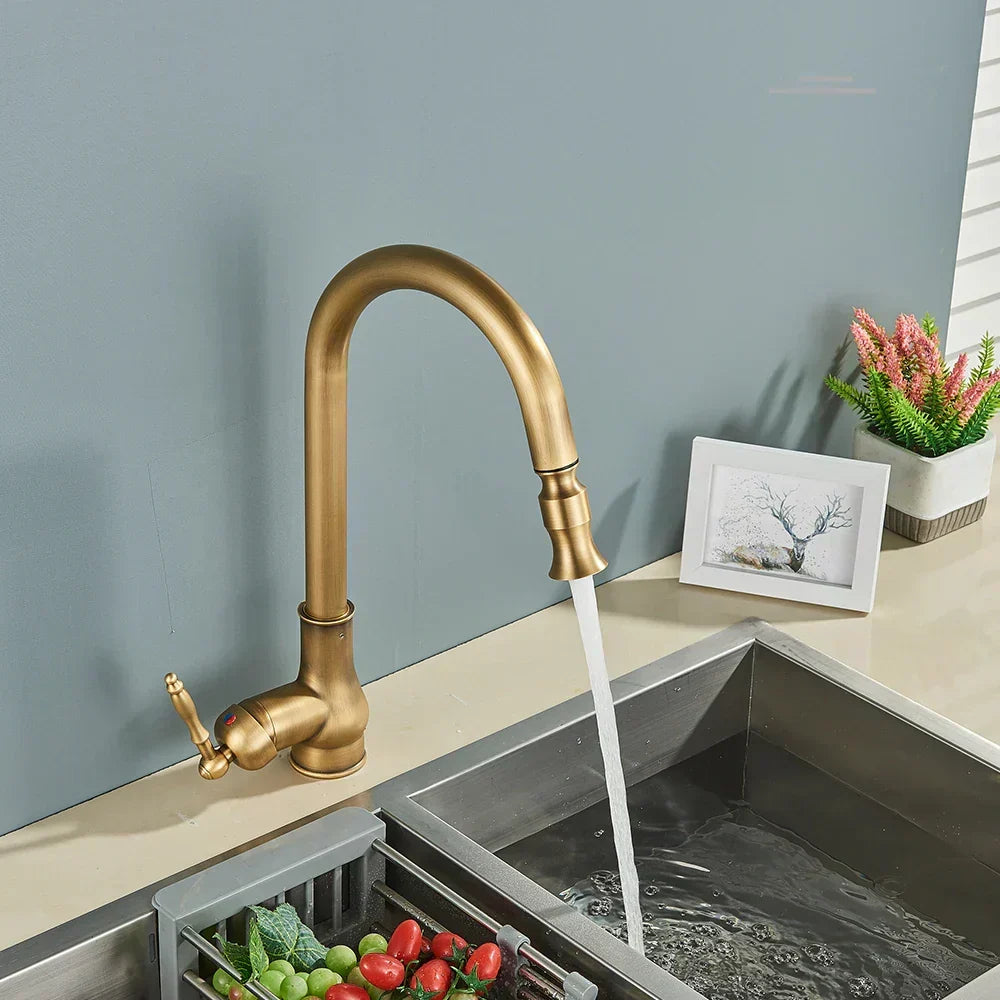 AstraNova Swivel Spout Faucet — Antique Brass Finish, Black Accent