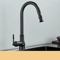 AstraNova Swivel Spout Faucet — Antique Brass Finish, Black Accent