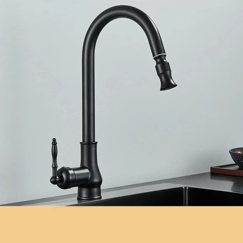 AstraNova Swivel Spout Faucet — Antique Brass Finish, Black Accent