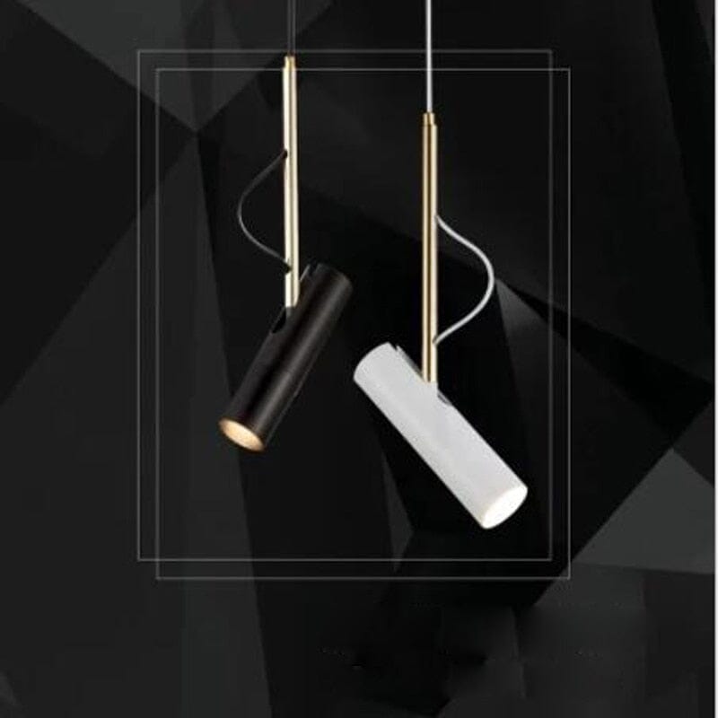 Lumora Artist Spotlight Rotating Pendant Light For Contemporary Interiors