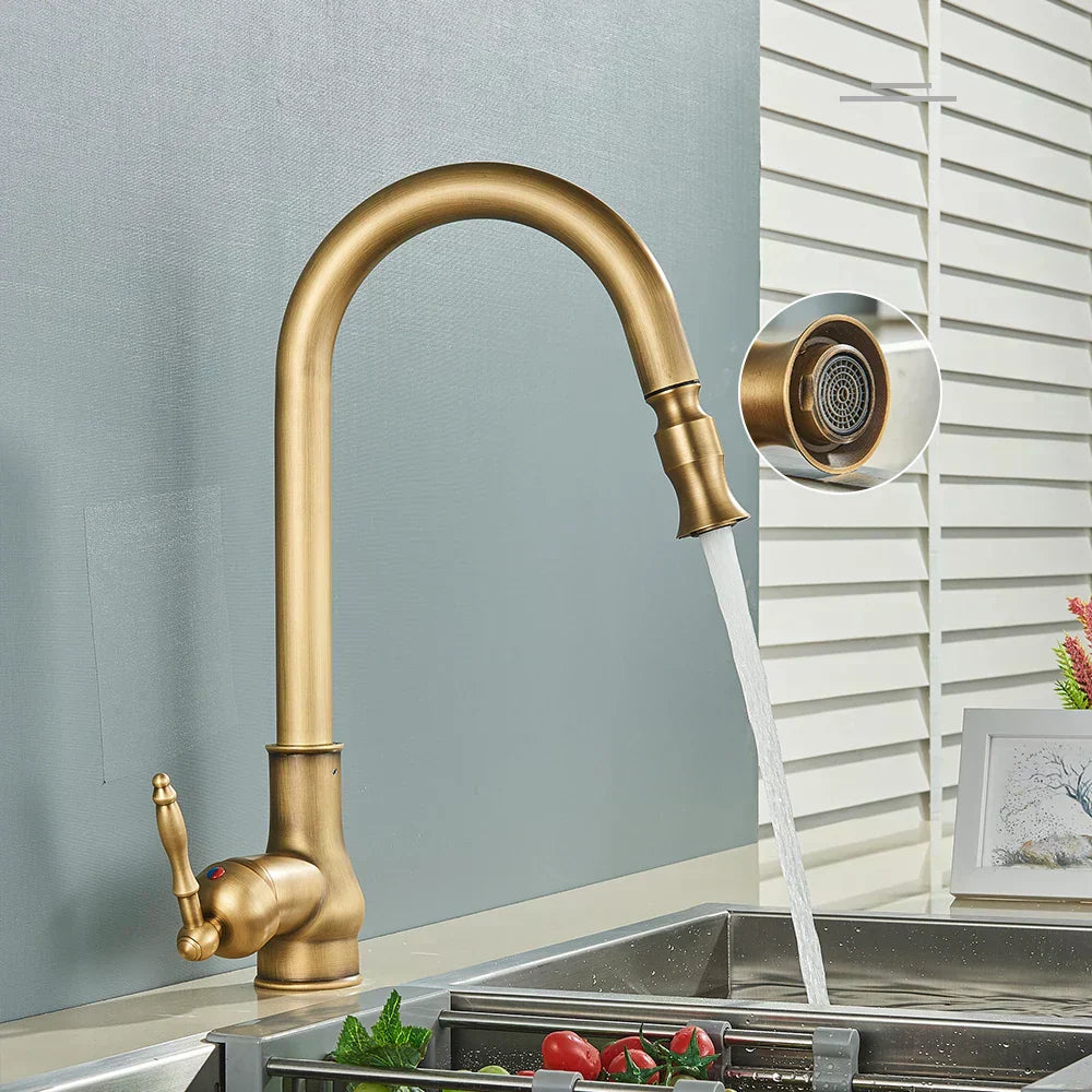 AstraNova Swivel Spout Faucet — Antique Brass Finish, Black Accent
