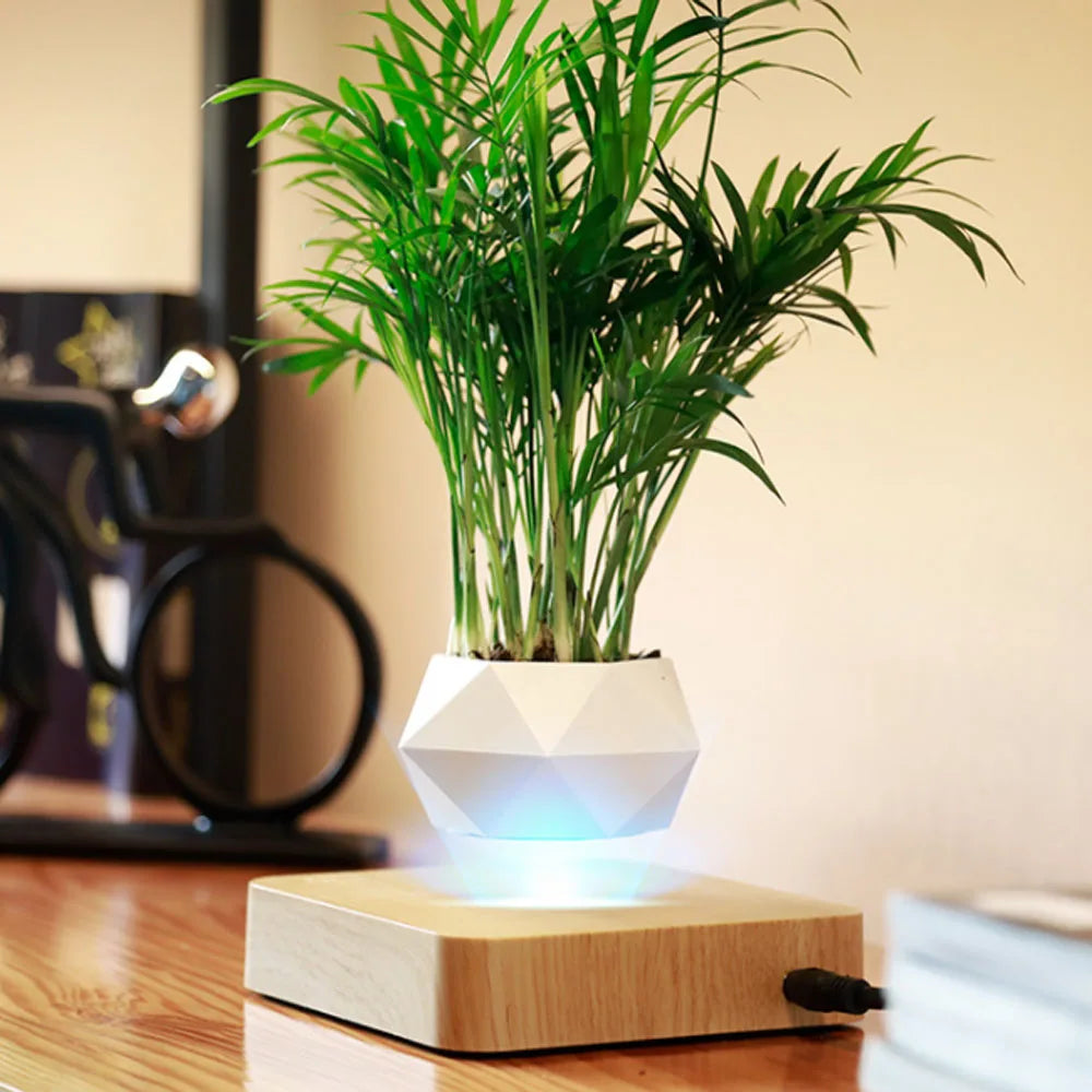 Lewitująca doniczka bonsai — magnetyczna, obracająca się o 360° donica
